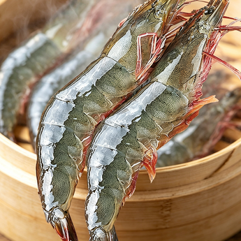 Fresh Large Plump Wild Shrimp